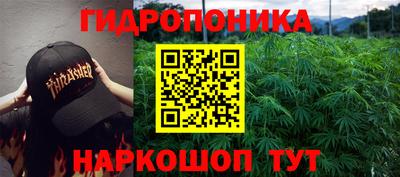 стафф Донской