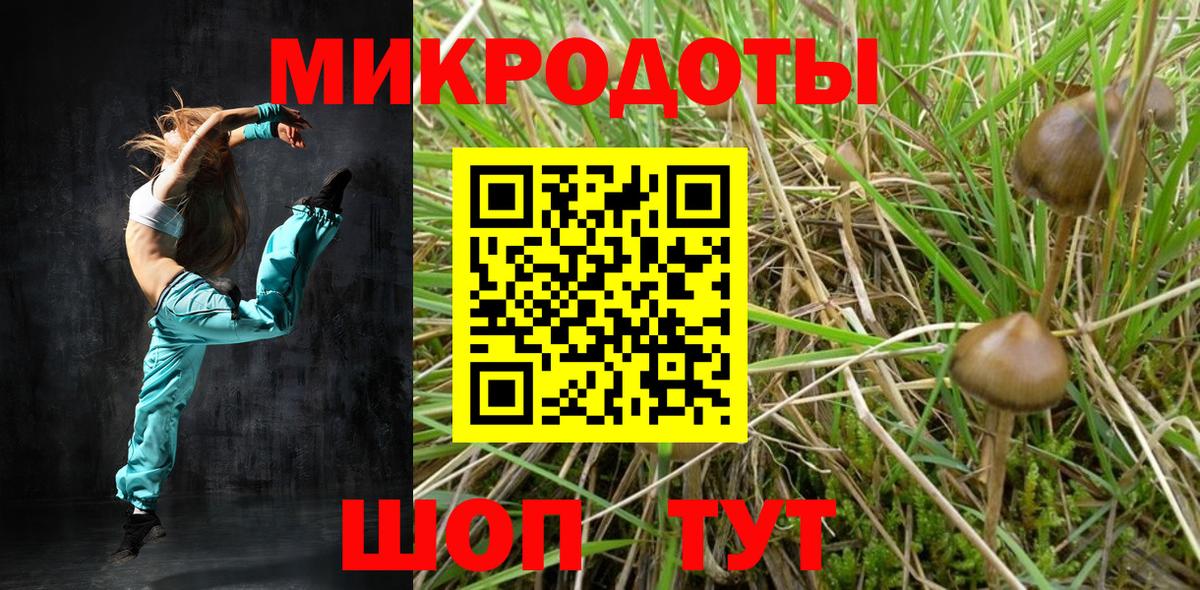 Псилоцибиновые грибы GOLDEN TEACHER Назарово