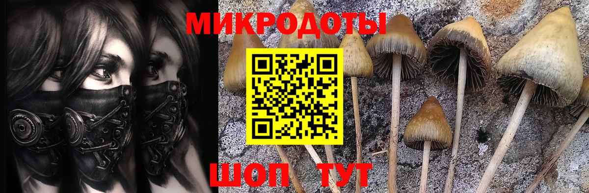 Псилоцибиновые грибы мухоморы  Вход с VPN  Псилоцибиновые грибы Cubensis  Назарово 